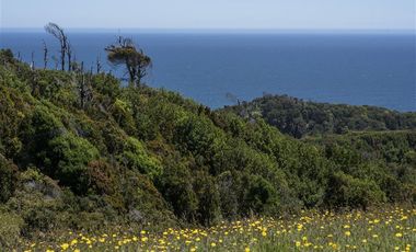Parcela en Venta en Fundo en Hua Huar