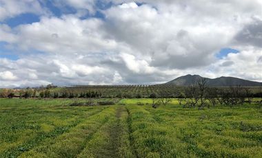 Terreno Construccion en Venta en Casino Ovalle