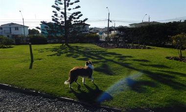 Terreno Construccion en Venta en El Llano