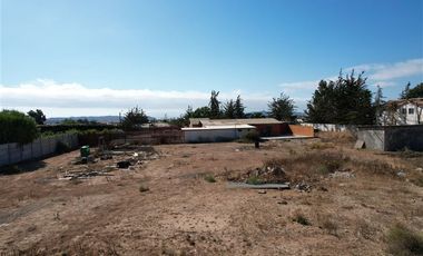 Sitio en Arriendo en sector Rinconada