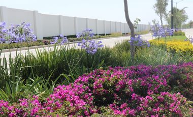 Lotes en venta Nubia Residencial, Cluster Zabia, Atlixcayotl, Pue