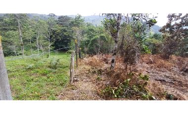 Venta Lote en alto Dapa Yumbo Valle del Cauca