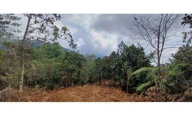 Venta Lote en alto Dapa Yumbo Valle del Cauca