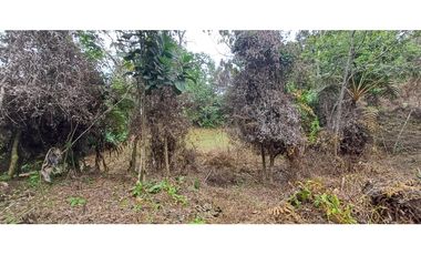 Venta Lote en alto Dapa Yumbo Valle del Cauca