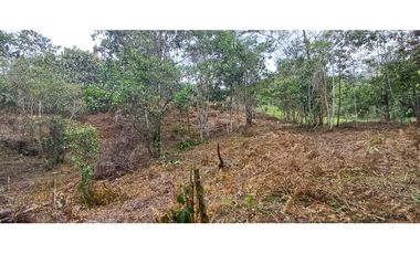 Venta Lote en alto Dapa Yumbo Valle del Cauca