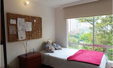 Apartamento en Arriendo Los Balsos Medellín