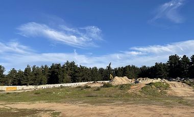 SE ARRIENDA TERRENO DESDE 1000 M2 (CÓD. 403)