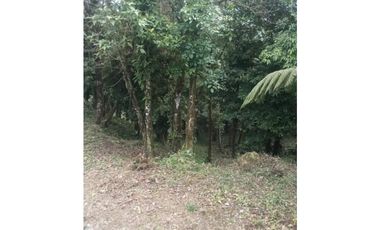 TERRENO EN ALTOS DEL MARIA CHAME VENTA