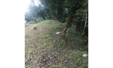 TERRENO EN ALTOS DEL MARIA CHAME VENTA
