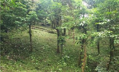 TERRENO EN ALTOS DEL MARIA CHAME VENTA