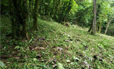 TERRENO EN ALTOS DEL MARIA CHAME VENTA