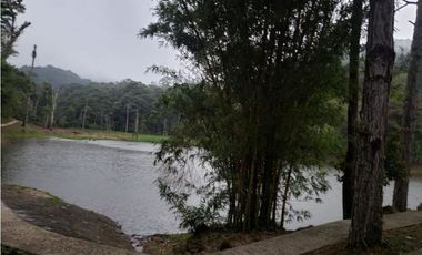 TERRENO EN ALTOS DEL MARIA CHAME VENTA