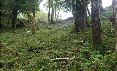 TERRENO EN ALTOS DEL MARIA CHAME VENTA