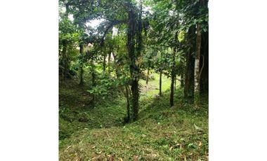 TERRENO EN ALTOS DEL MARIA CHAME VENTA