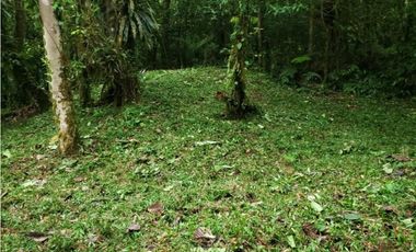 TERRENO EN ALTOS DEL MARIA CHAME VENTA