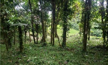TERRENO EN ALTOS DEL MARIA CHAME VENTA