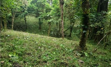 TERRENO EN ALTOS DEL MARIA CHAME VENTA