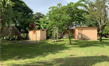 VENTA DE FINCA EN HERRERA, SECTOR OCU A ORILLA DE CARRETERA