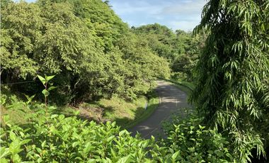 VENTA DE FINCA EN HERRERA, SECTOR OCU A ORILLA DE CARRETERA