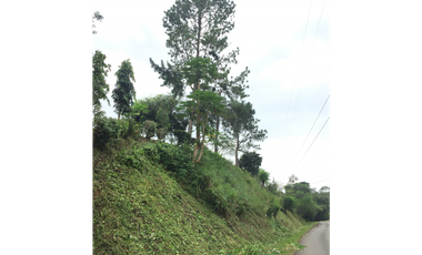 VENTA DE FINCA EN HERRERA, SECTOR OCU A ORILLA DE CARRETERA