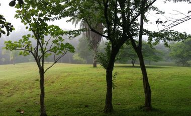 VENTA DE FINCA EN HERRERA, SECTOR OCU A ORILLA DE CARRETERA