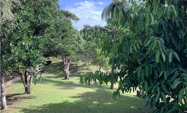 VENTA DE FINCA EN HERRERA, SECTOR OCU A ORILLA DE CARRETERA