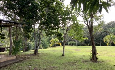 VENTA DE FINCA EN HERRERA, SECTOR OCU A ORILLA DE CARRETERA