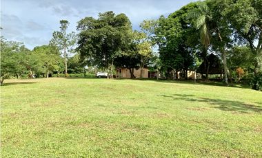 VENTA DE FINCA EN HERRERA, SECTOR OCU A ORILLA DE CARRETERA