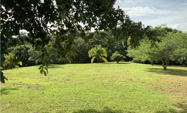 VENTA DE FINCA EN HERRERA, SECTOR OCU A ORILLA DE CARRETERA