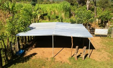 VENTA DE FINCA EN HERRERA, SECTOR OCU A ORILLA DE CARRETERA