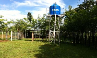 VENTA DE FINCA EN HERRERA, SECTOR OCU A ORILLA DE CARRETERA