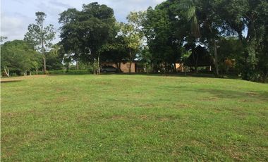 VENTA DE FINCA EN HERRERA, SECTOR OCU A ORILLA DE CARRETERA