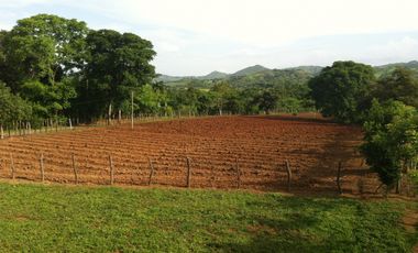 VENTA DE FINCA EN HERRERA, SECTOR OCU A ORILLA DE CARRETERA