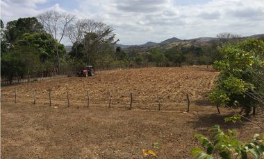 VENTA DE FINCA EN HERRERA, SECTOR OCU A ORILLA DE CARRETERA