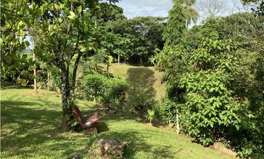 VENTA DE FINCA EN HERRERA, SECTOR OCU A ORILLA DE CARRETERA