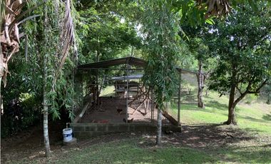 VENTA DE FINCA EN HERRERA, SECTOR OCU A ORILLA DE CARRETERA