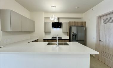 PH OCEAN HOUSE - SANTA MARIA - VENTA