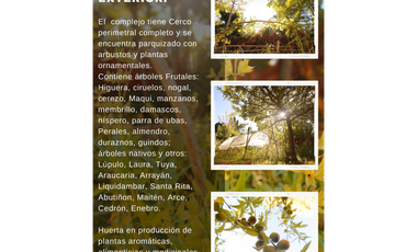 PARCELA DE 1410 M2 CON 7 VIVIENDAS CA-291
