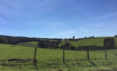 Agrícola en Venta en Estaquilla