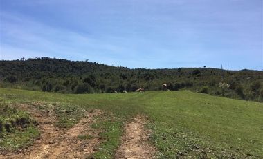 Agrícola en Venta en Estaquilla