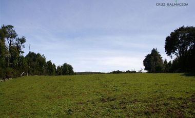 Agrícola en Venta en Estaquilla