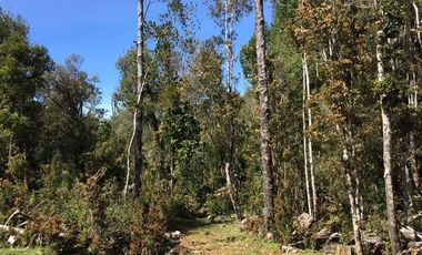 Agrícola en Venta en Estaquilla