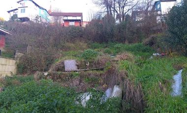 Terreno Construccion  en Venta en Mirasol