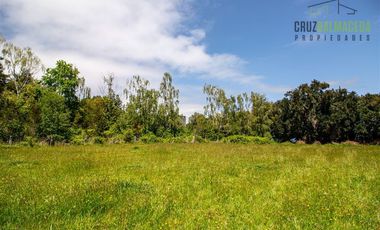 Parcela en Venta en Lago Ranco