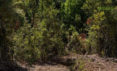 Parcela en Venta en Bosques del Tepual