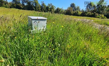 Parcela en Venta en Lomas del Maullin