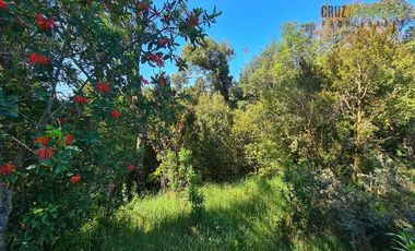 Parcela en Venta en Lomas del Maullin