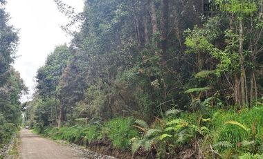 Parcela en Venta en A 5 minutos de Puerto Montt