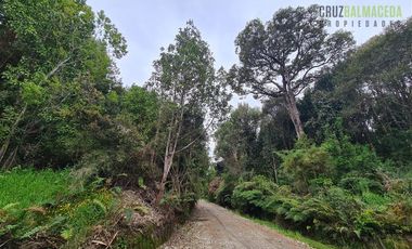 Parcela en Venta en A 5 minutos de Puerto Montt