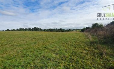 Agrícola en Venta en 7,1 hectáreas cerca de Los Muermos